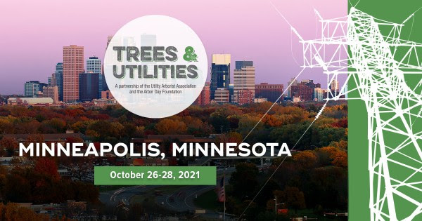 Unnamed 19 61645223318cb