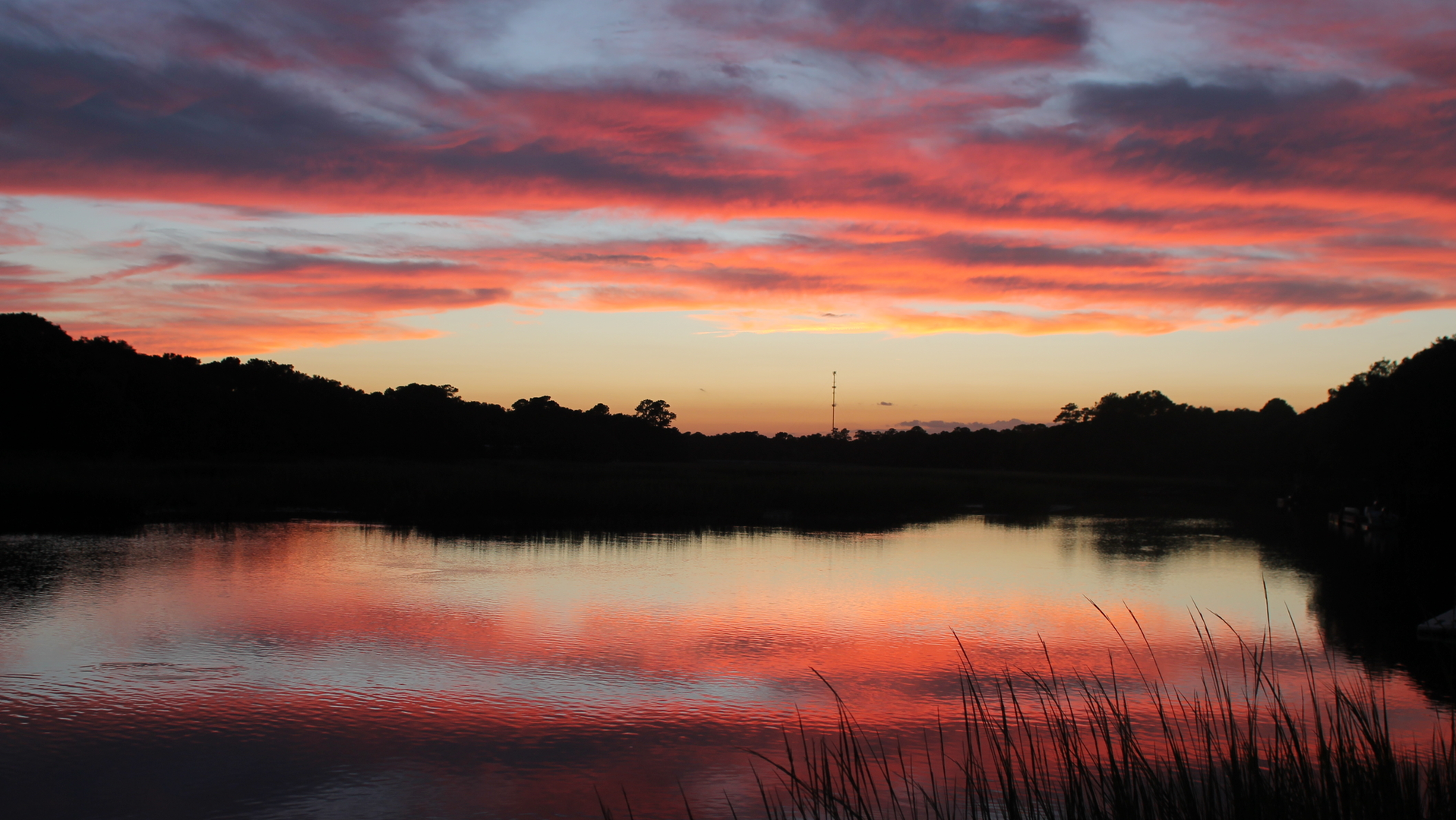 CEPCI and Haley & Aldrich coordinated with relevant agencies, such as the U.S. Fish and Wildlife Service and the South Carolina Department of Natural Resources, to protect coastal seagrass areas during project construction phases.