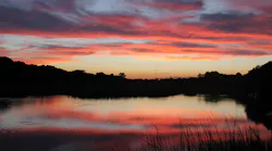CEPCI and Haley & Aldrich coordinated with relevant agencies, such as the U.S. Fish and Wildlife Service and the South Carolina Department of Natural Resources, to protect coastal seagrass areas during project construction phases.