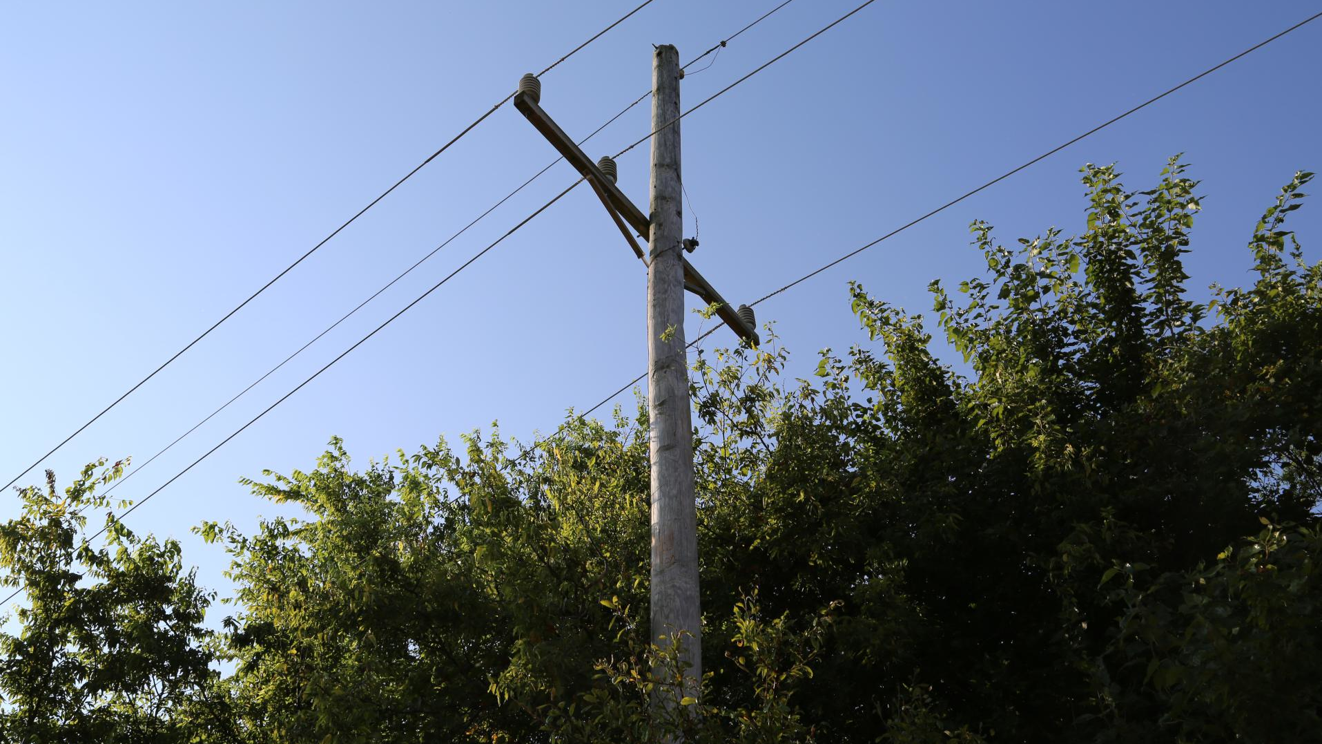 Cm1 0173 618da341603c0