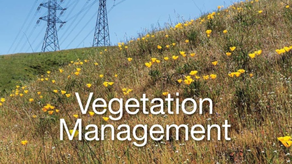 Screen Shot 2021 11 05 At 12 15 13 Pm 618a6ea328268