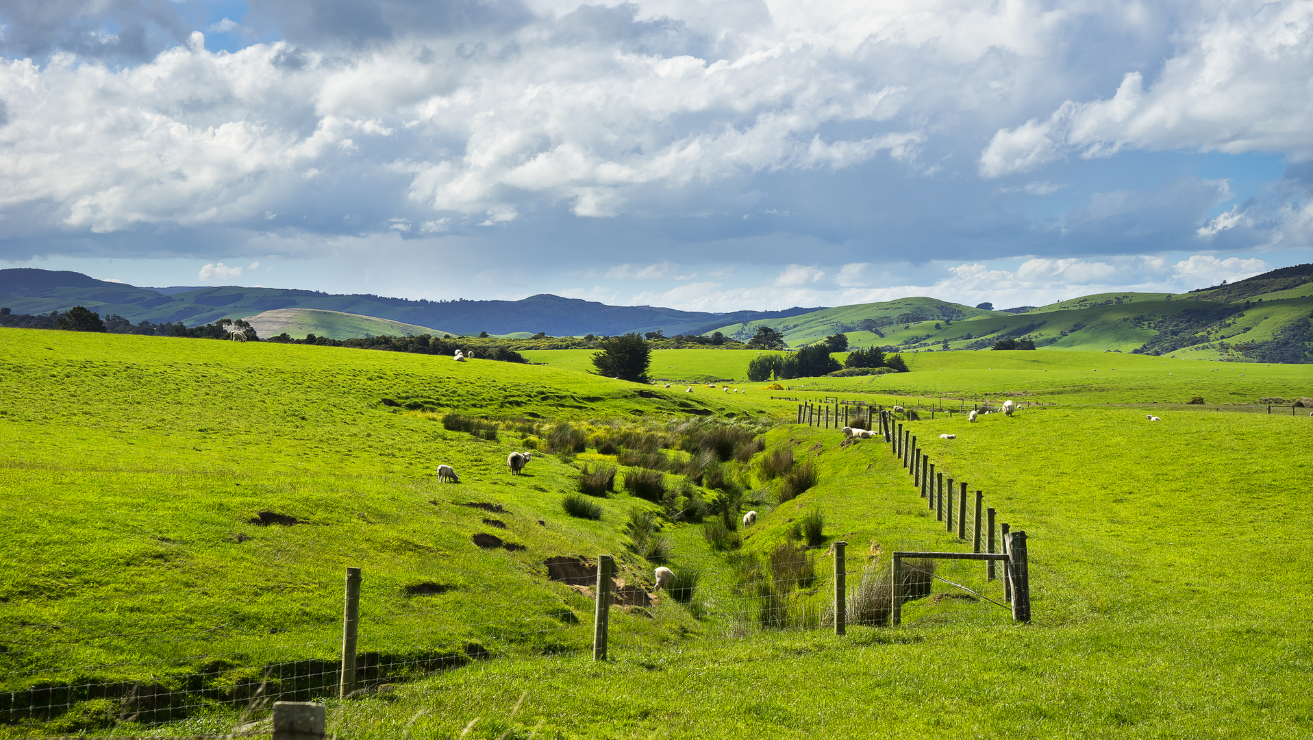 Made famous by the Lord of the Rings series, rural New Zealand has a utility customer base that is spread throughout a sparsely populated area, leaving the region vulnerable to frequent outages.