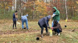 Mp Tree Planting 940x520 619bf19bac119 Mp Tree Planting 940x520 619bf19bac119