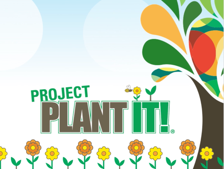 Screen Shot 2021 11 22 At 1 31 35 Pm 619bf028f1c8a