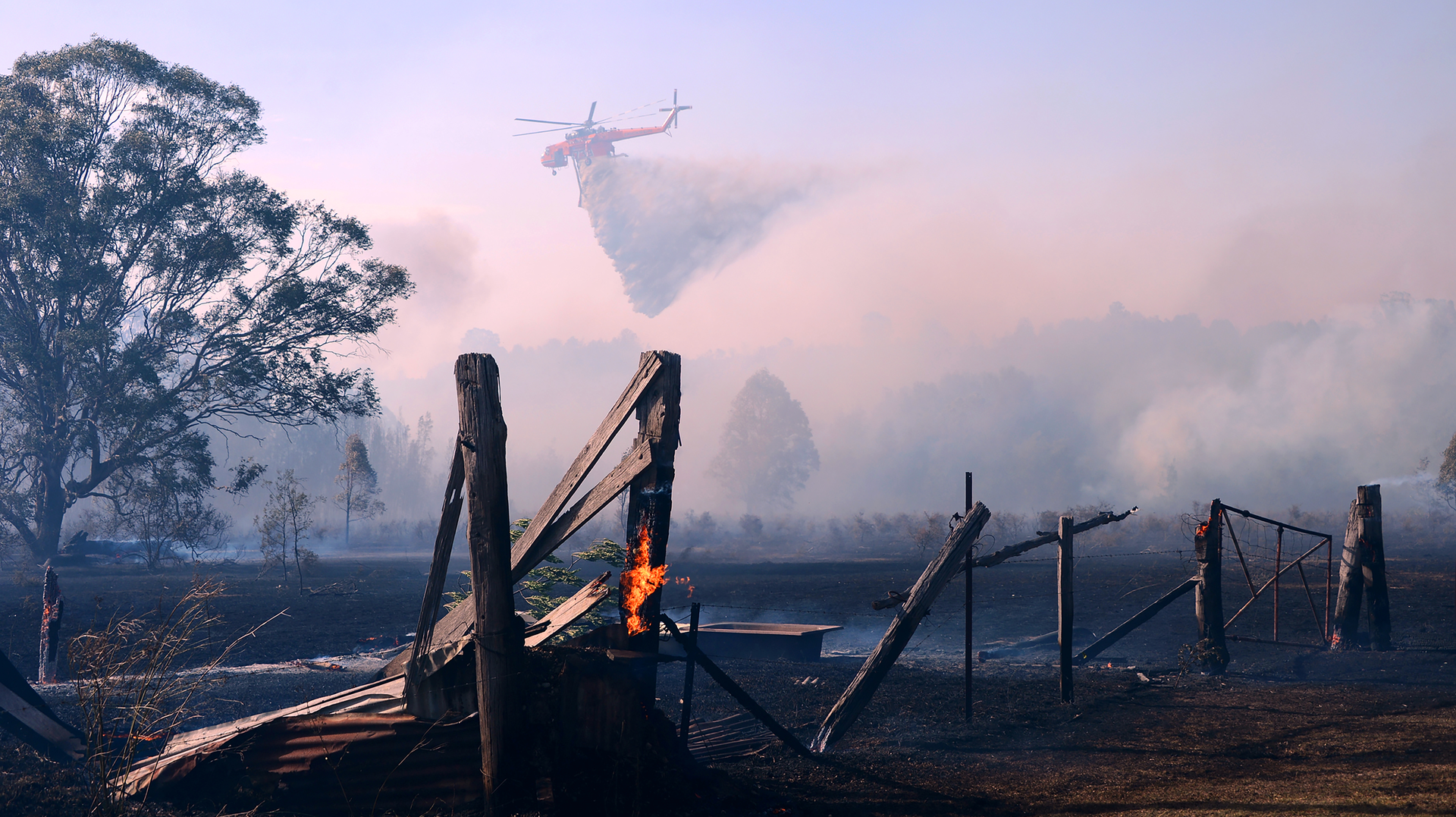 Recent wildfires in the Australian bush have resulted in billions of dollars in damage.