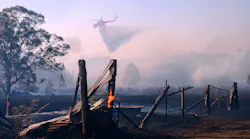 Recent wildfires in the Australian bush have resulted in billions of dollars in damage.