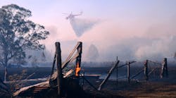 Recent wildfires in the Australian bush have resulted in billions of dollars in damage.