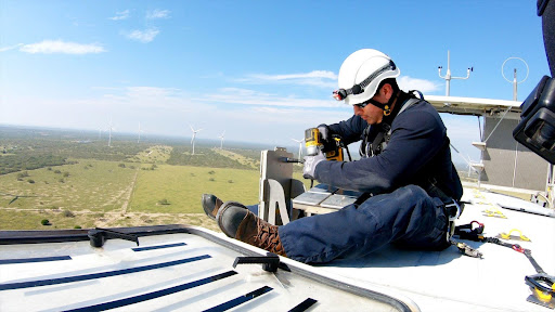 Protect Bats from Wind Turbines T&D World