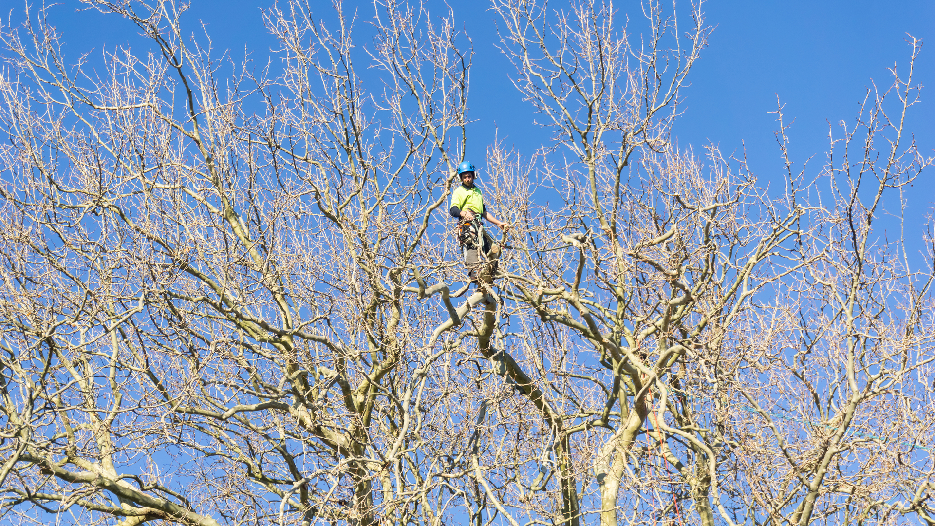 Dreamstime L 122135421 61b8b0b44978d