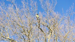 Dreamstime L 122135421 61b8b0b44978d Dreamstime L 122135421 61b8b0b44978d