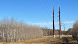 Huntley Wilmarth 1 61a8e84392d0e Huntley Wilmarth 1 61a8e84392d0e