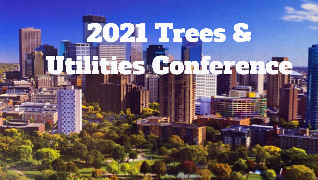 Img 1452 61b8aff2238a8