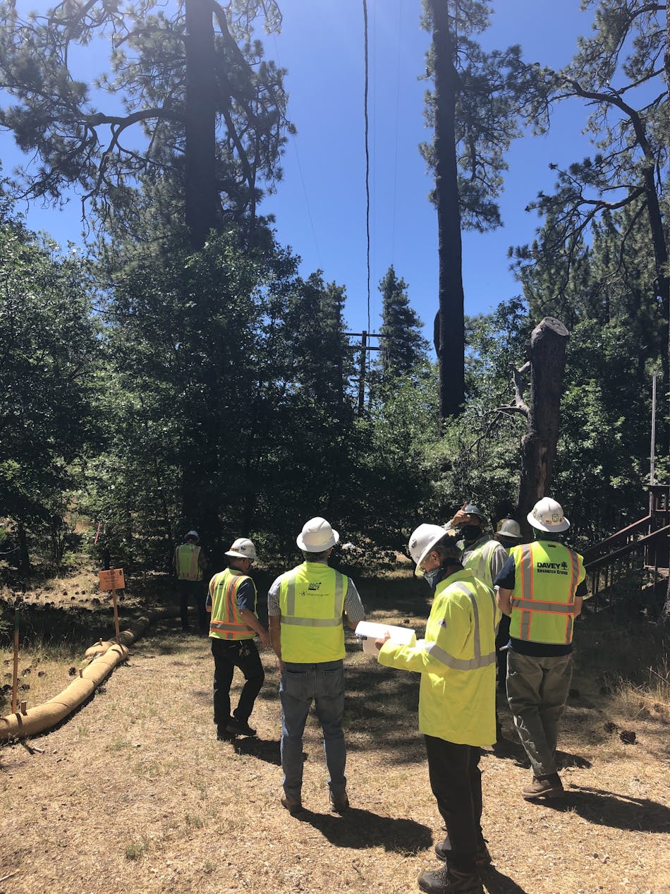 SDG&amp;E team members survey trees on Mount Laguna for conflicts with new overhead line being installed.
