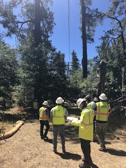 SDG&E team members survey trees on Mount Laguna for conflicts with new overhead line being installed. SDG&E team members survey trees on Mount Laguna for conflicts with new overhead line being installed.