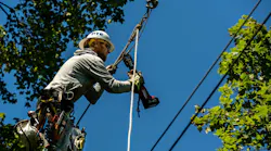 Dte
