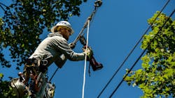 Dte 61d44fc3802f0 Dte 61d44fc3802f0