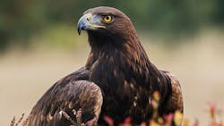 Duke 61e85836be75f Duke 61e85836be75f