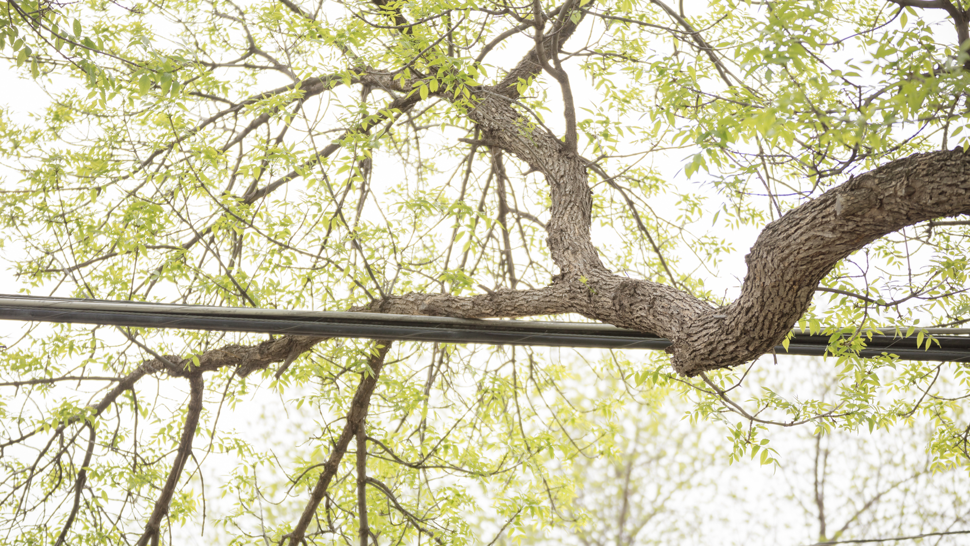 Peoria 61f4367f84cf5