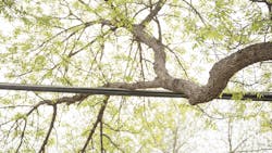 Peoria 61f4367f84cf5 Peoria 61f4367f84cf5