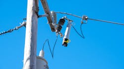 Vfii Image 2 Vfii Image 2