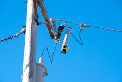 Vfii Image 2 61f832fb2b490 Vfii Image 2 61f832fb2b490