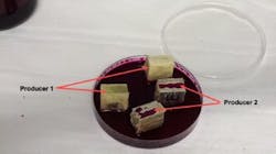 Dye penetration test shows difference in water ingress in composite materials from two different manufacturers. Dye penetration test shows difference in water ingress in composite materials from two different manufacturers.