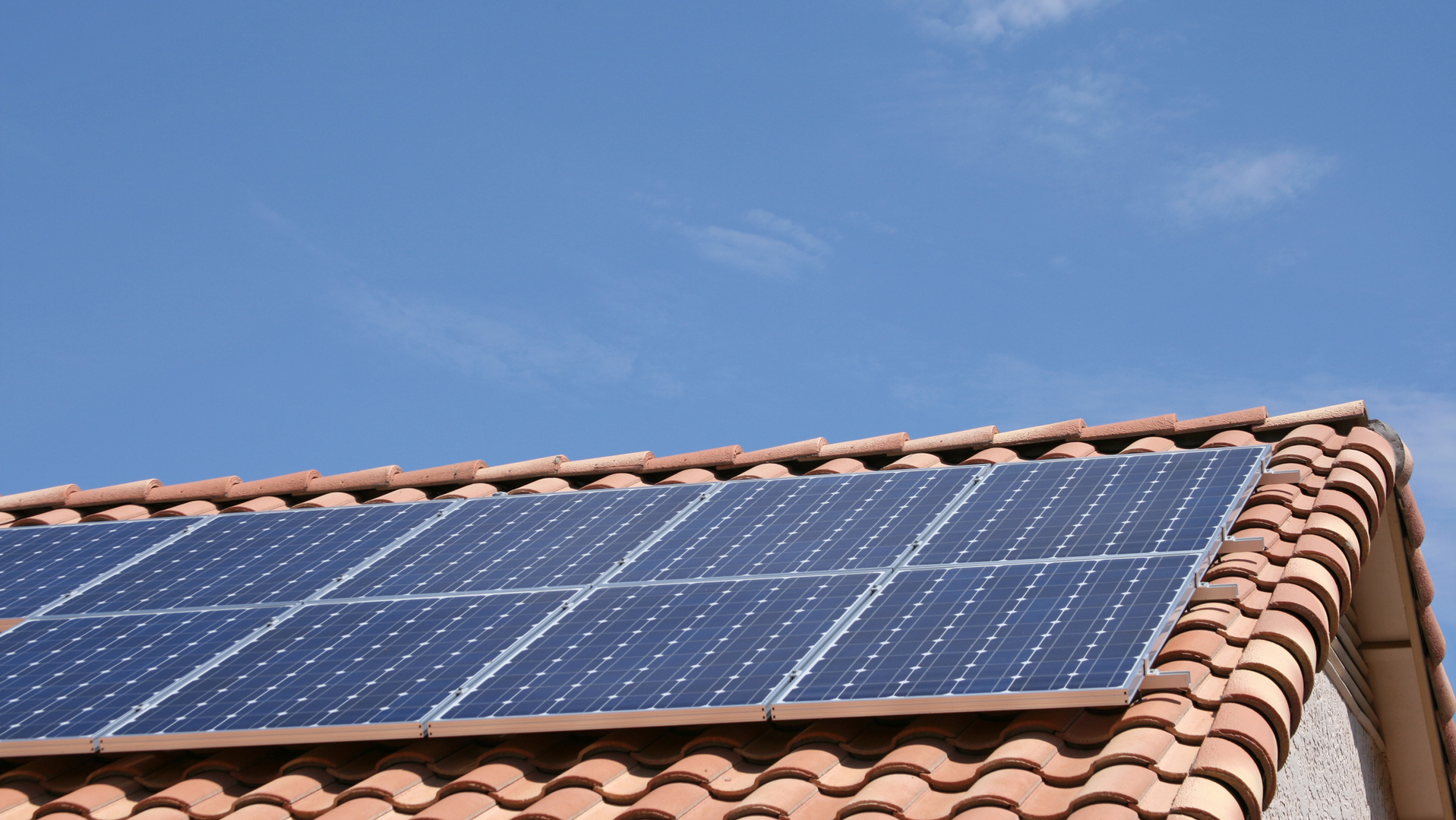 Arizona E Lectric 61fab253caa6b