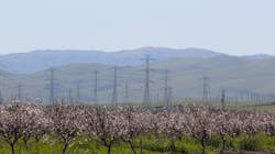 Getty Images 1309211843 620ac2bedf3e8 Getty Images 1309211843 620ac2bedf3e8