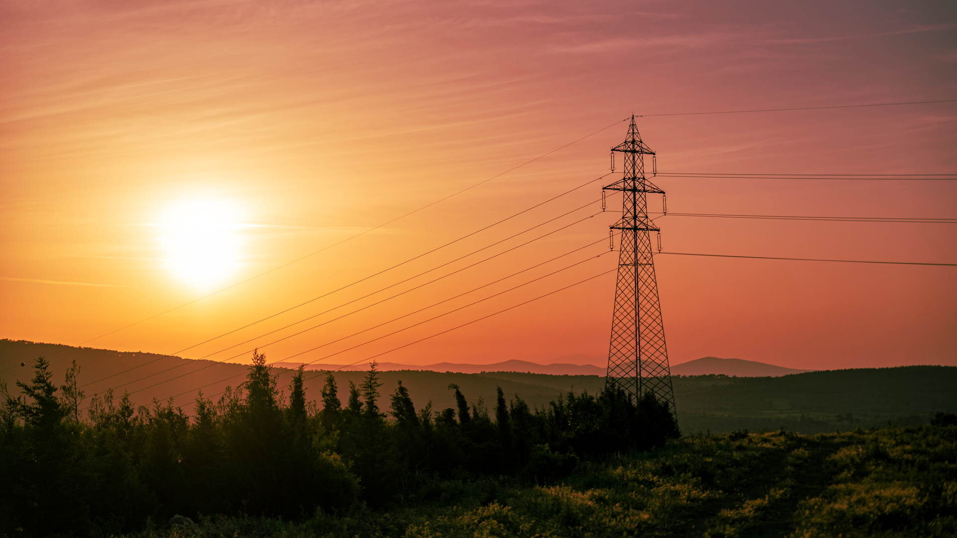 Getty Images 1318685007