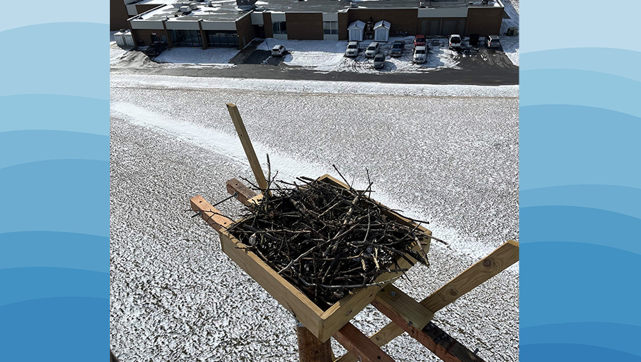 West Penn Power and the facilities team from St. Marys Area School District collaborated to create this new home for a pair of ospreys that had nested on a tall light pole at the high school stadium.
