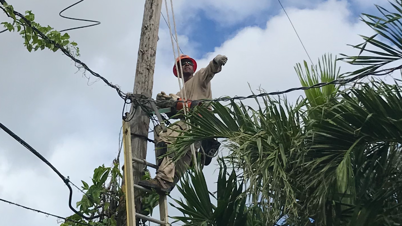 Image4 2 62054d28a8ee8