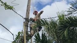 Image4 2 62054d28a8ee8 Image4 2 62054d28a8ee8