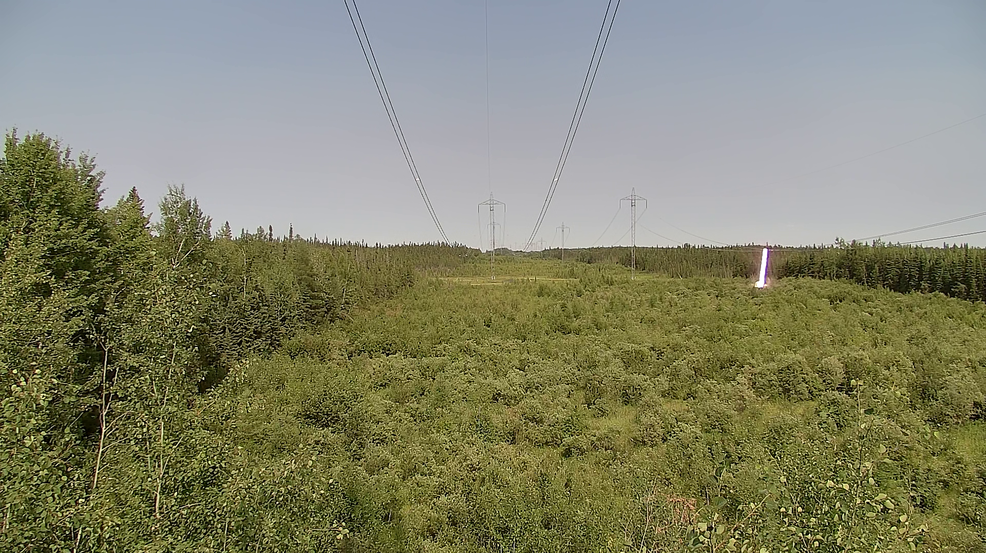 An unexplained flashover was captured midspan on a negative pole of Manitoba Hydro HVDC Bipoles on a sunny fair weather day in July of 2021.