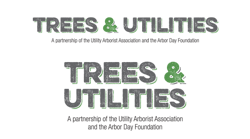 Trees And Utilities