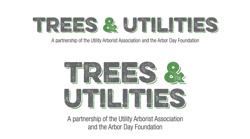 Trees And Utilities