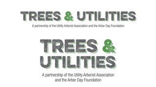 Trees And Utilities