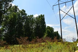 Brush 1 6213c6e6f0215 Brush 1 6213c6e6f0215