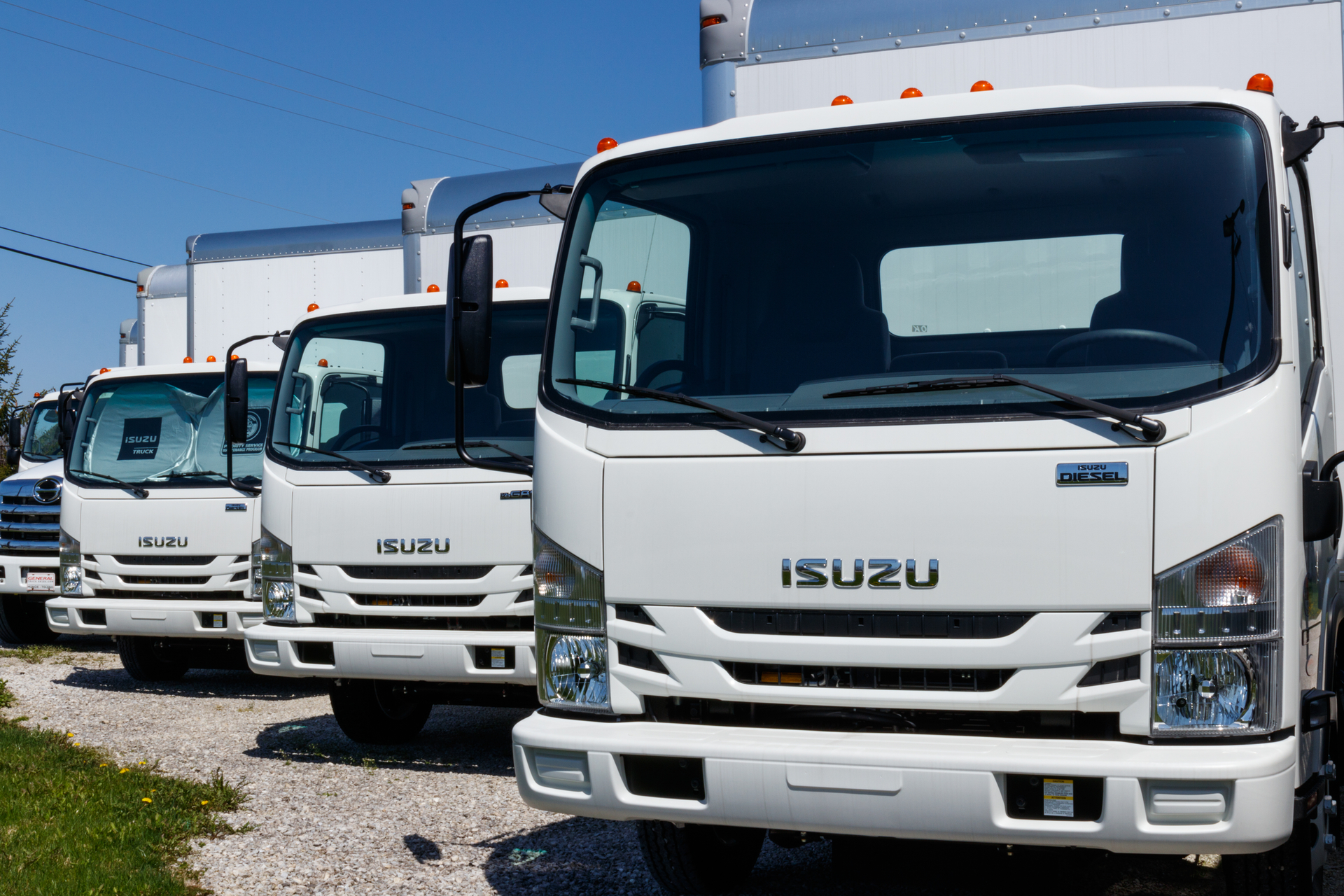 A row of Isuzu trucks