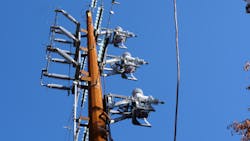 P1011545 620a920a51e3a P1011545 620a920a51e3a