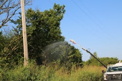 Picture3 6213c147b7908 Picture3 6213c147b7908