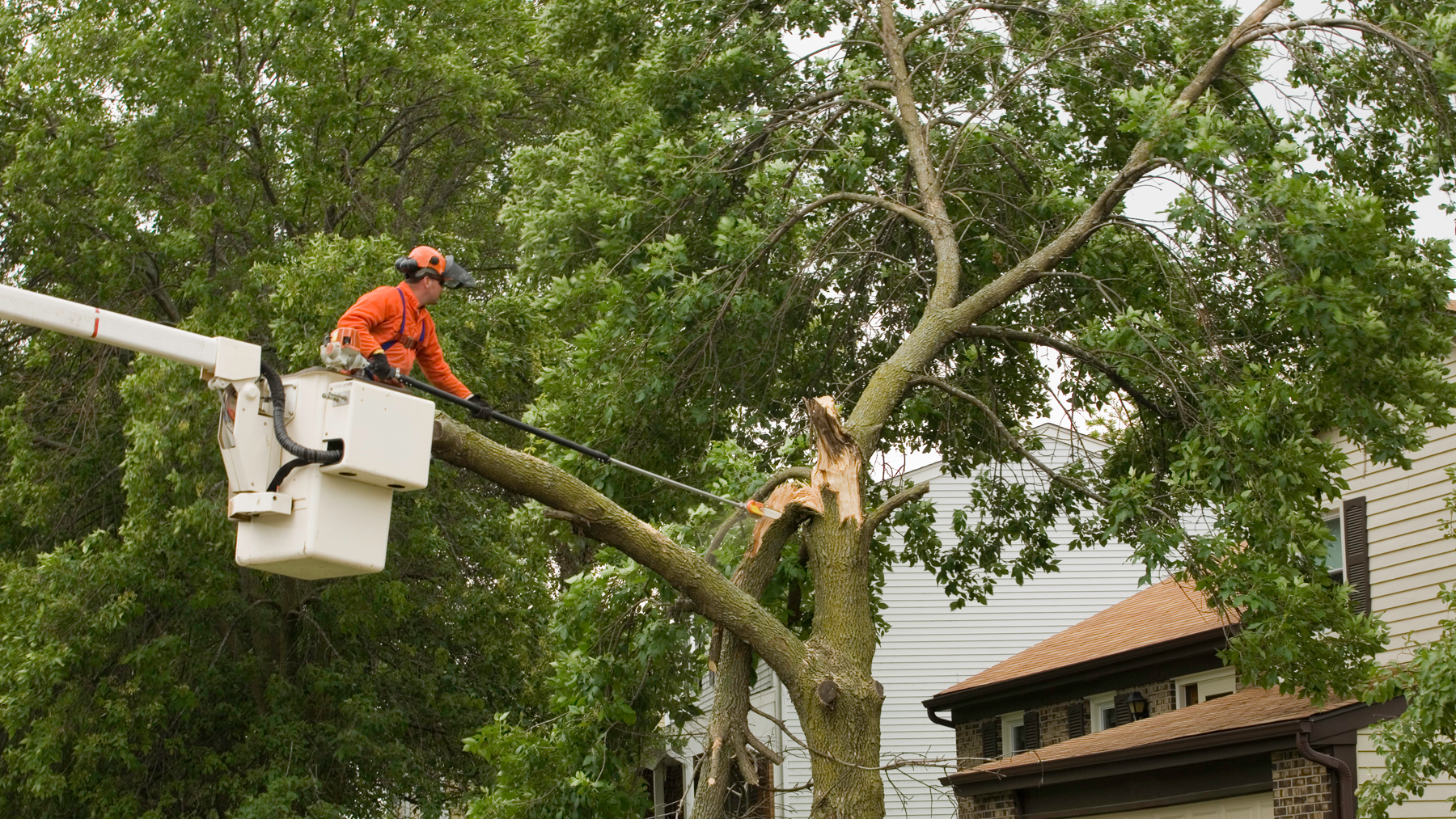 Allkindza 62449810428c7