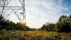 Dsc06894 Rt 62336ff97c95a Dsc06894 Rt 62336ff97c95a