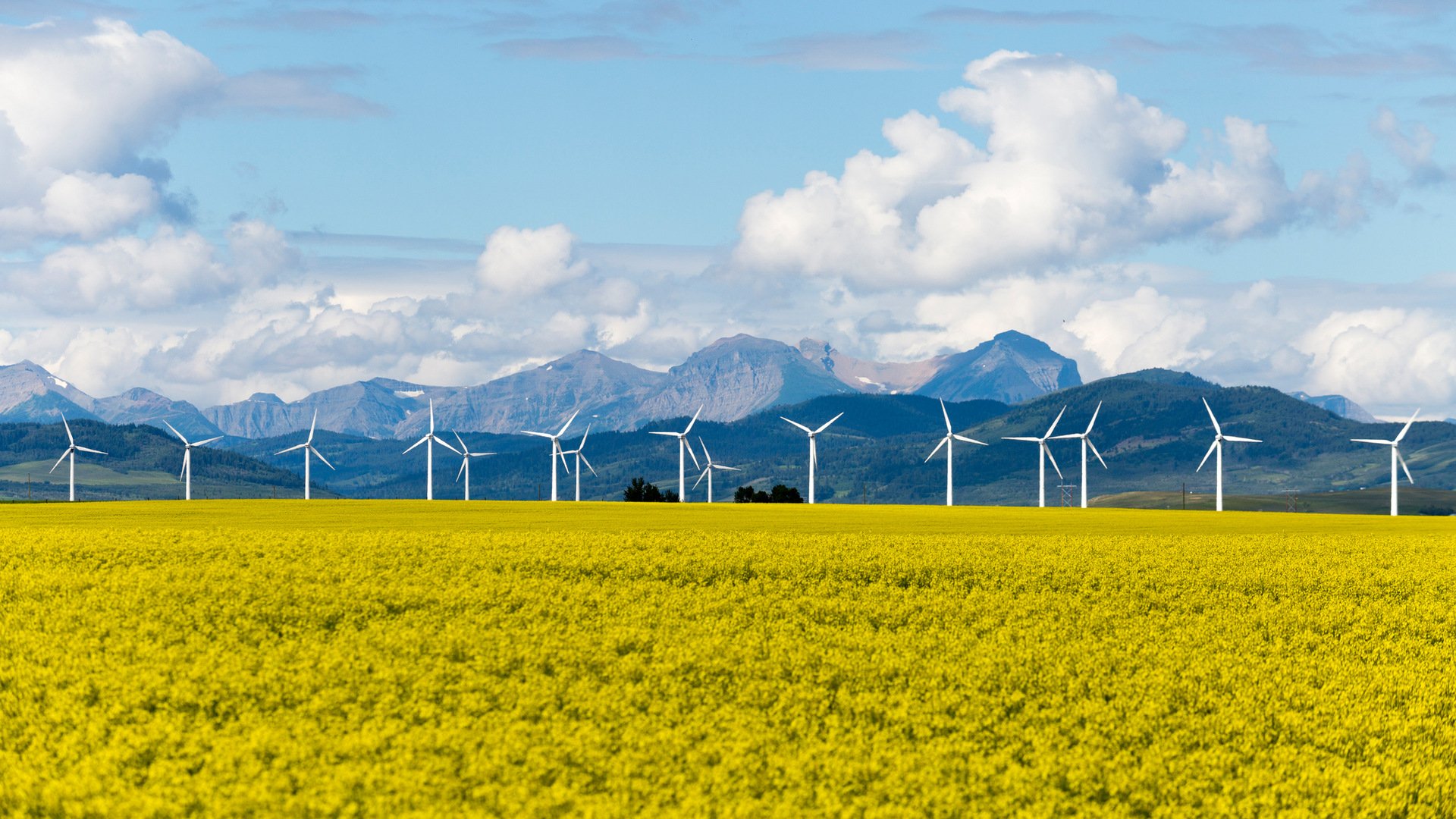 Getty Images 1016052402 62320857dcb83