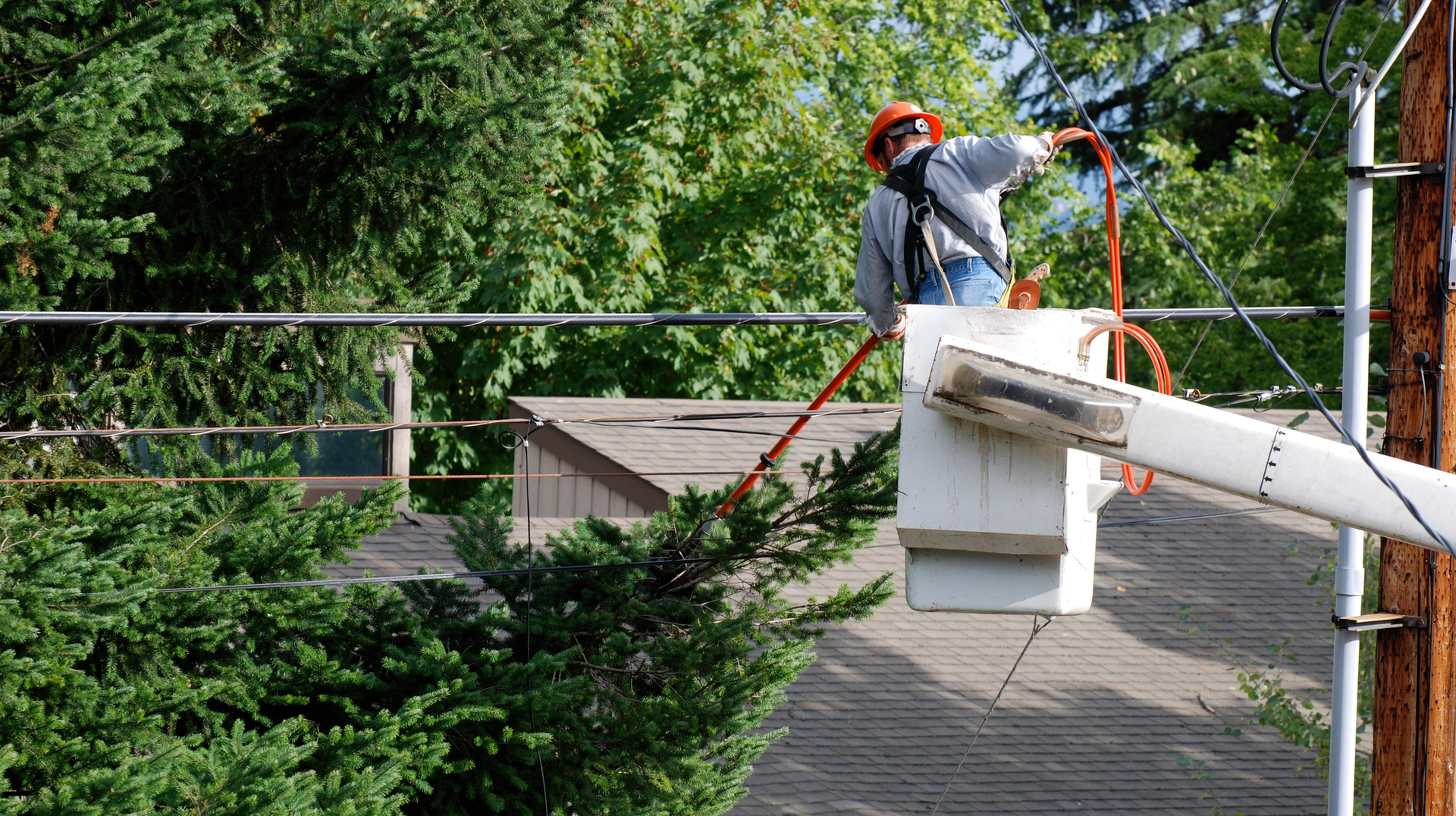 Getty Images 172397639 6245ffe9890cb