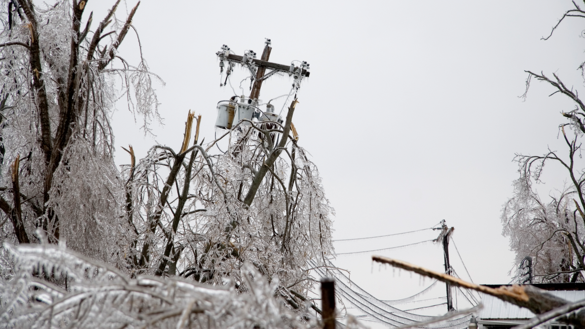 Getty Images 96312369 6238a17e2d97a