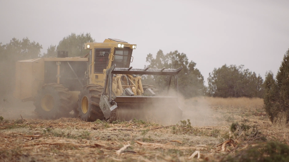 Srp Clearance 2 621f9c6e435ee