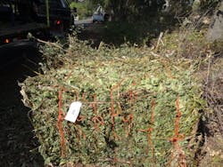 Completed bale with mix of oak and walnut trimmings. Completed bale with mix of oak and walnut trimmings.