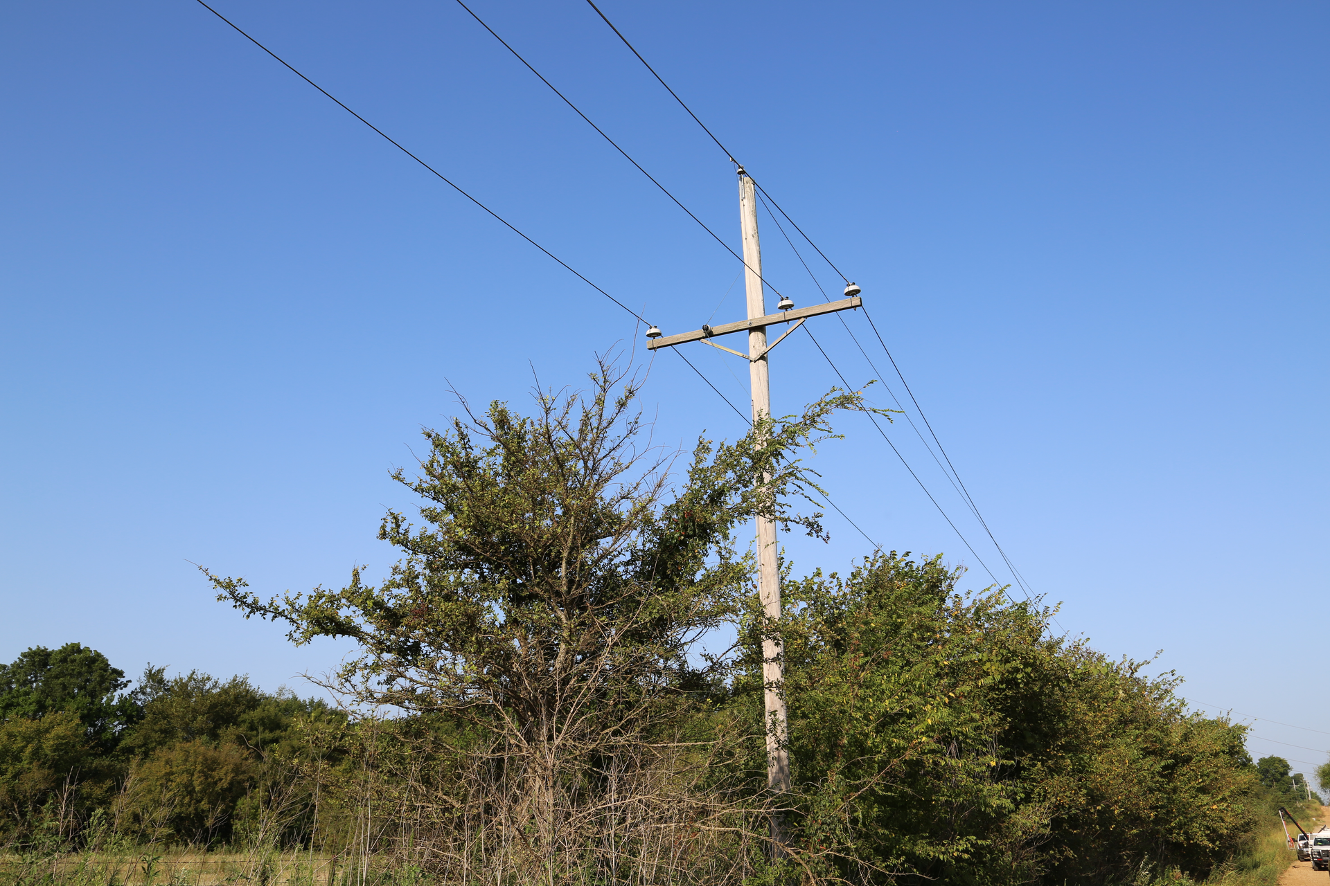 Cm1 0185 62336b6ea1d3b