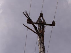 Rare example of where spark gap did not perform its function on relatively new pole. Rare example of where spark gap did not perform its function on relatively new pole.