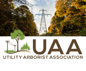 T D Advertisement 300 250 Px 6239e7259f0fb